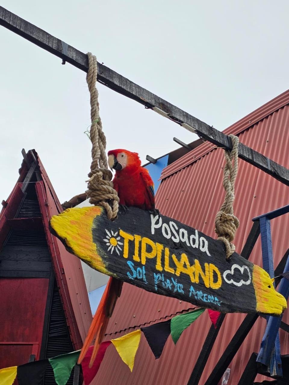 Tipiland Baru La Casa Del Mono 호텔 플라야 블랑카 외부 사진